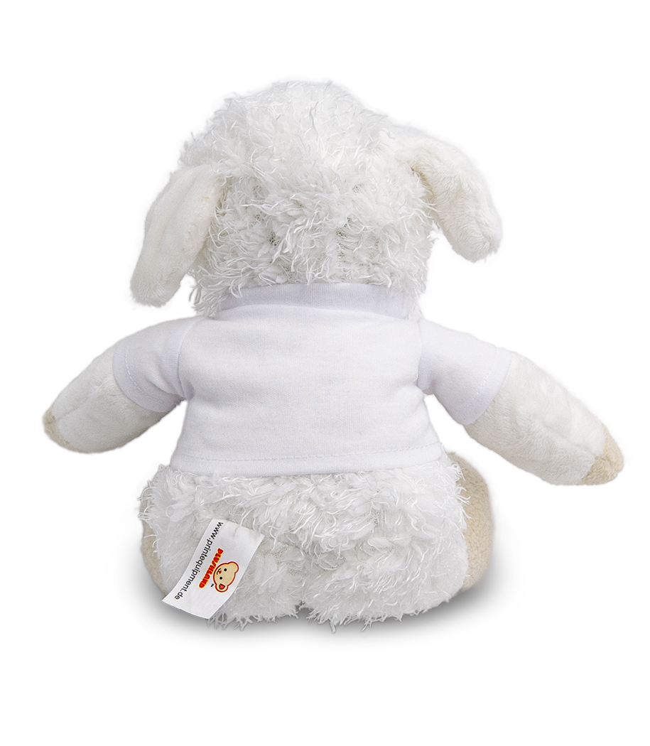 Moutons - Blanc - Derrière