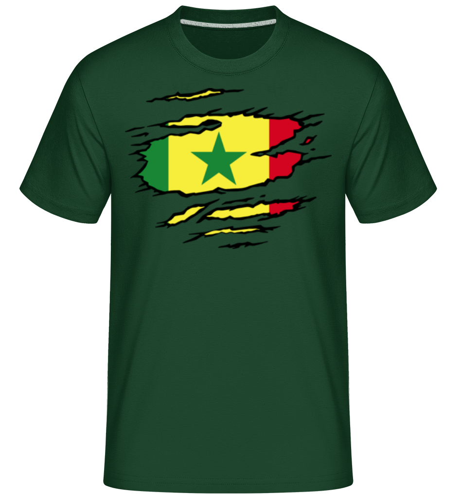 Vert bouteille