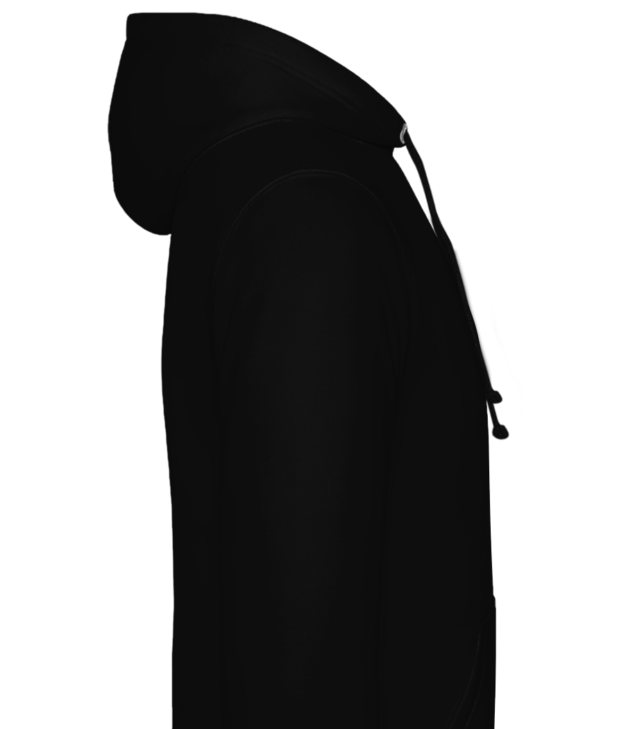 Aperçu: Sweat à capuche Homme - Noir - Droit