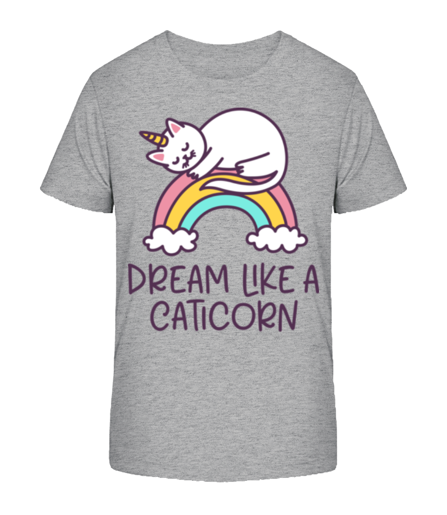 Aperçu: Dream Like A Caticorn - T-shirt bio Enfant Stanley Stella 2.0 - Gris chiné - Devant