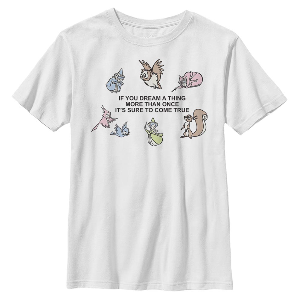 Disney - Princesses Disney - Texte Dream It - Enfant T-shirt