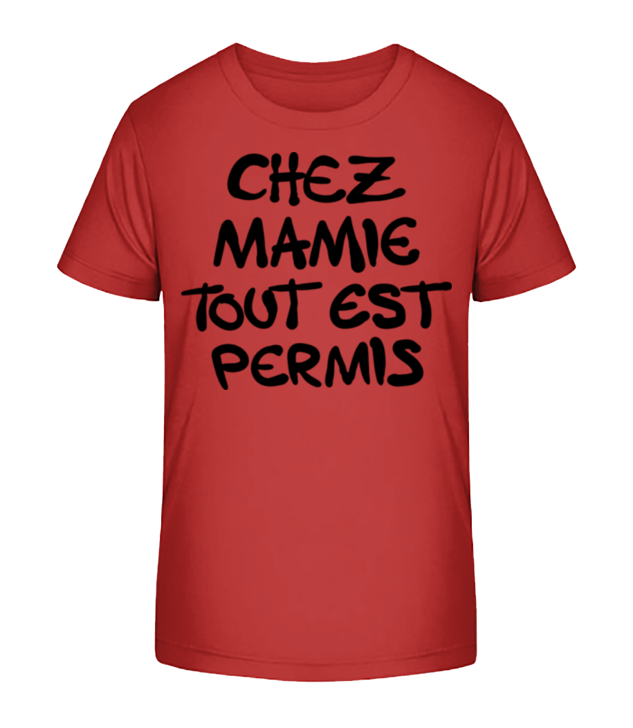 Chez Mamie Tout Est Permis · T-shirt bio Enfant Stanley Stella 2.0