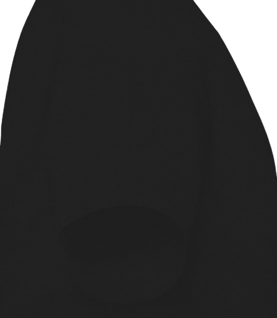 Aperçu: T-Shirt homme col V en coton biologique Stanley Stella - Noir - Droit