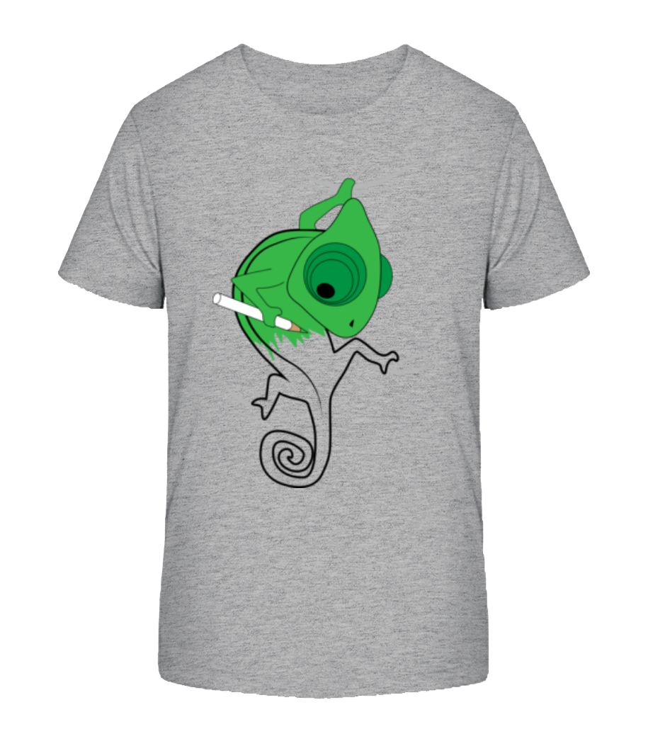 Chameleon Kids Comic - T-shirt bio Enfant Stanley Stella 2.0 - Gris chiné - Devant