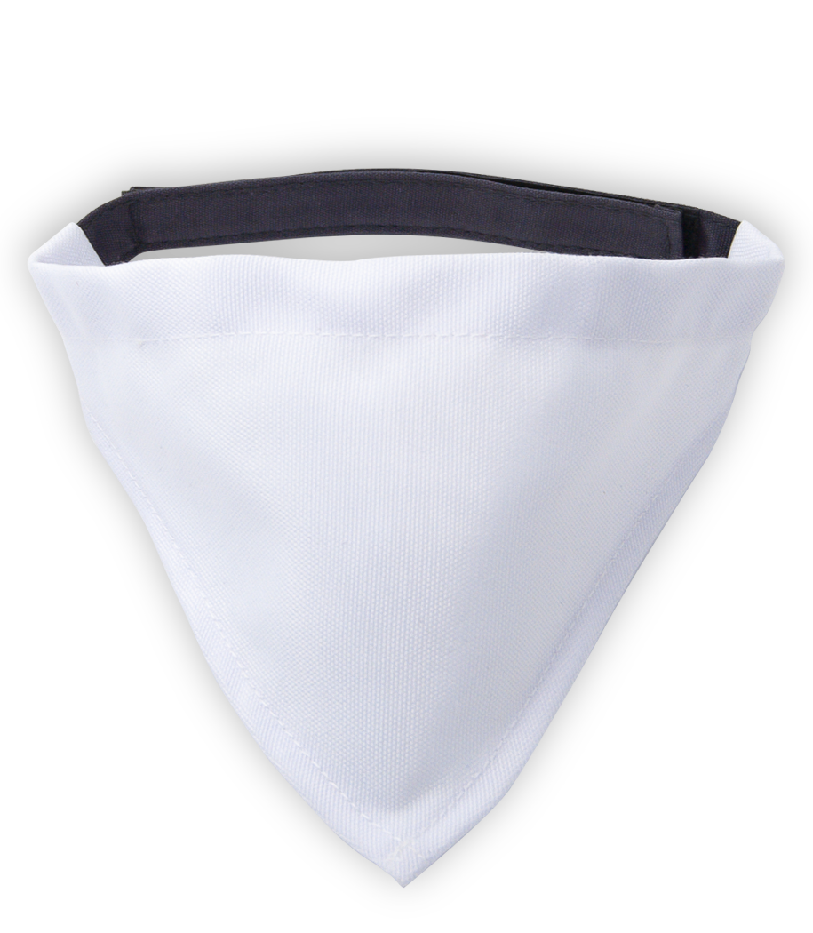 Aperçu: Foulard pour chien petit - Blanc - Devant