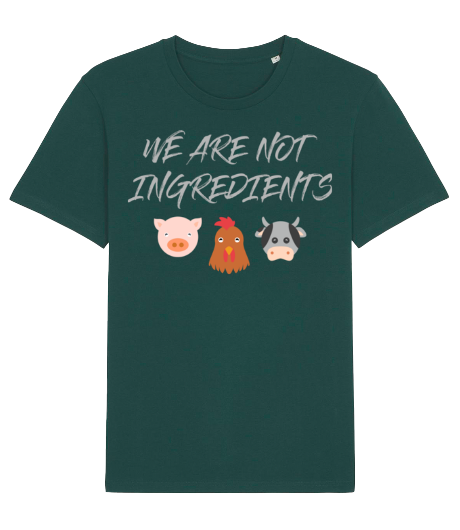 Vegetarian · T-shirt bio Homme Stanley Stella 2.0