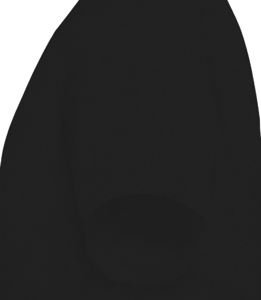 Aperçu: T-Shirt homme col V en coton biologique Stanley Stella - Noir - Gauche