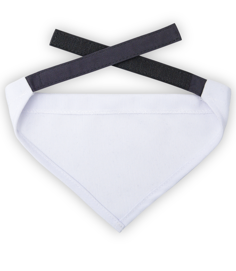 Aperçu: Foulard pour chien grand - Blanc - Derrière