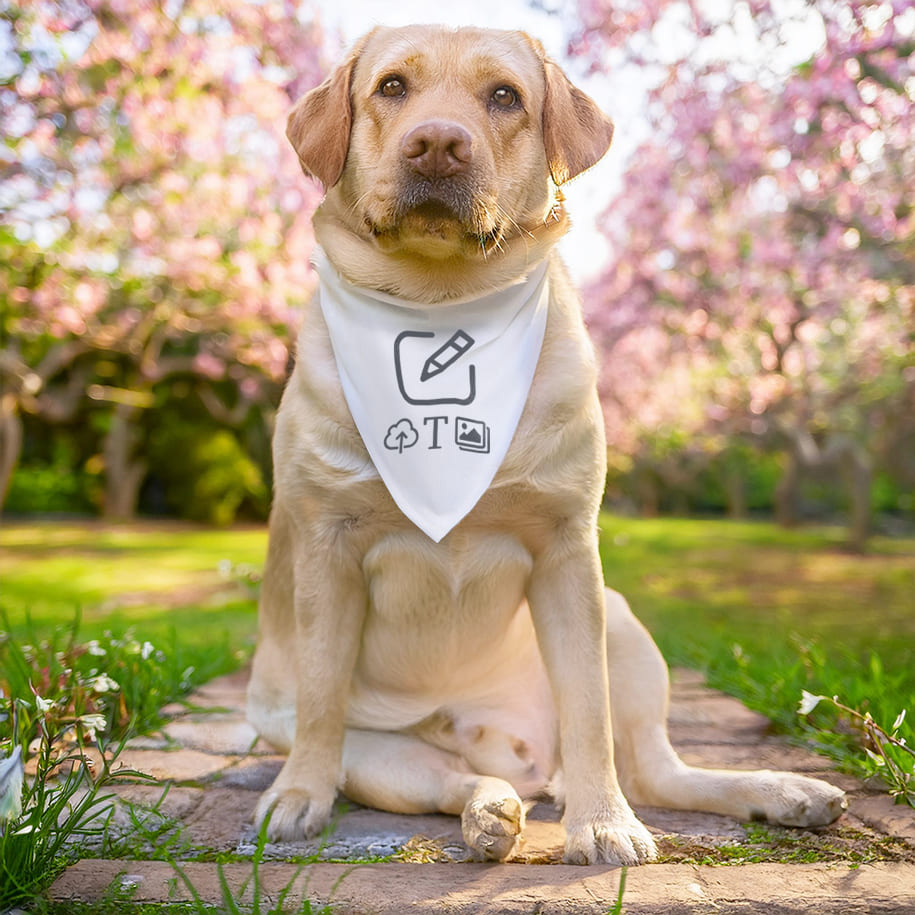 Foulard pour chien grand