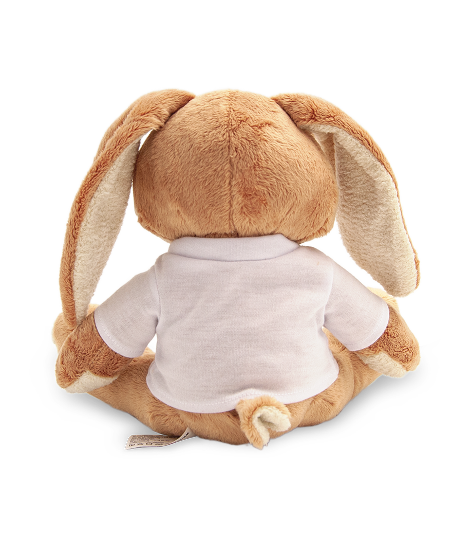 Lièvre - Blanc - Derrière