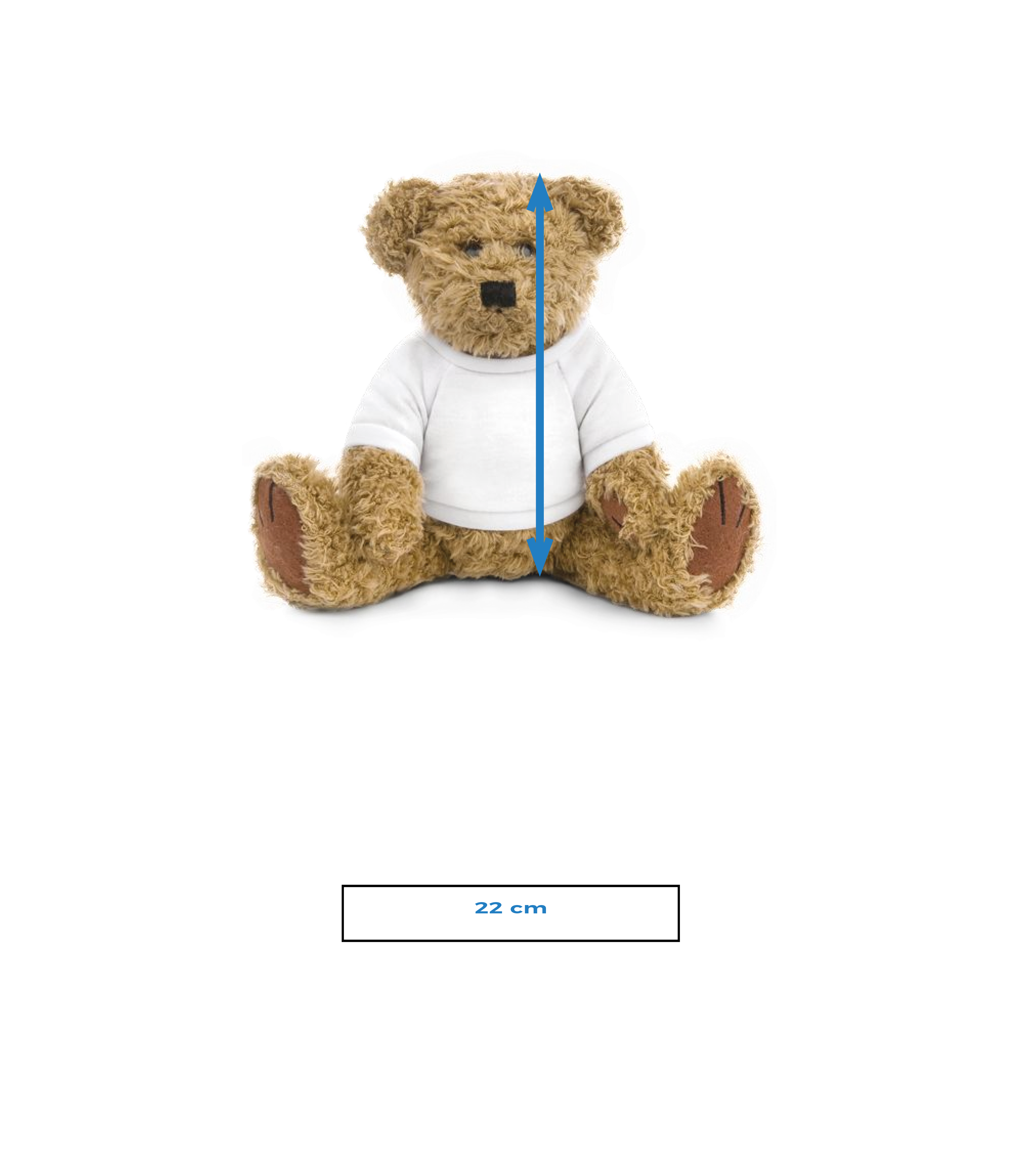 Ourson - Tableau des tailles