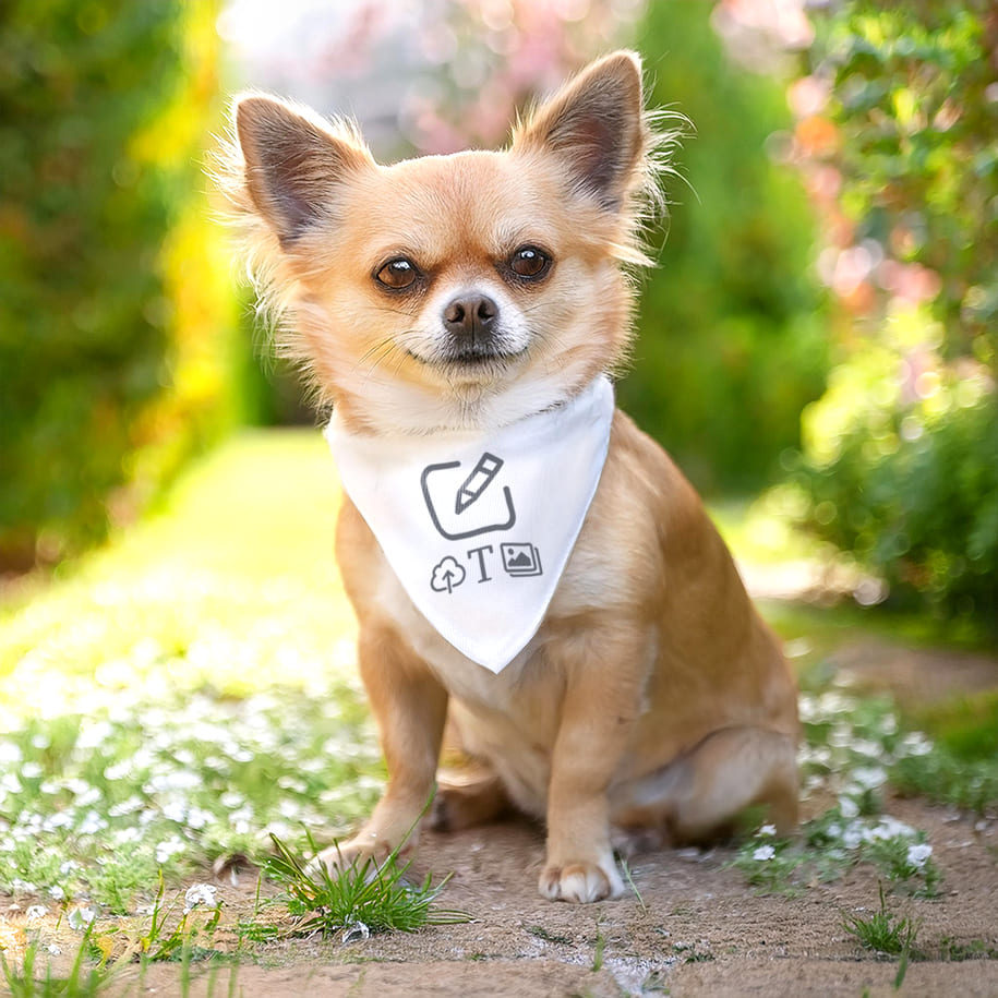 Foulard pour chien petit