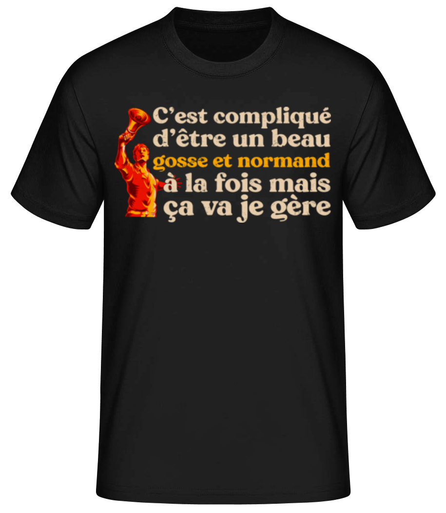 Beau Gosse Et Normand · T-shirt standard Homme