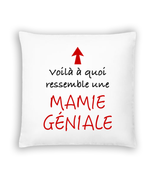 Mamie Géniale · Coussin